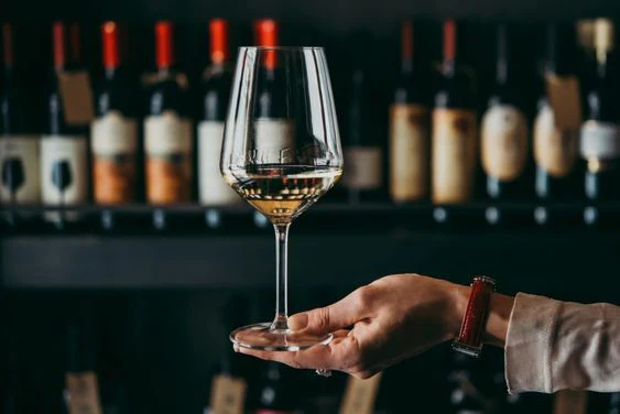 Guida per Principianti alla Degustazione del Vino: Semplici Consigli per Assaporare come un Esperto